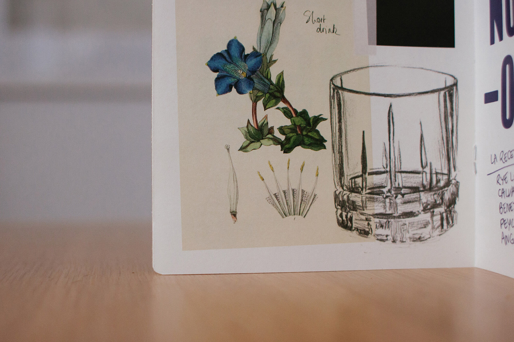Gros plan sur un croquis de verre à cocktail et une illustration scientifique de fleur bleue