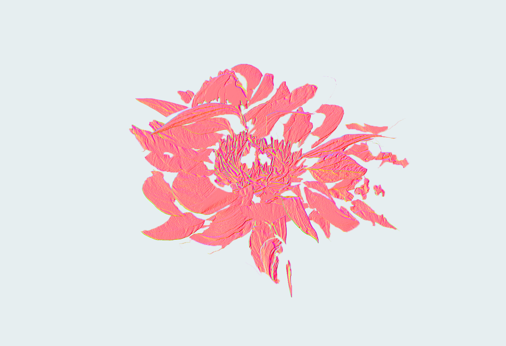 Illustration d'une fleur rose en relief destructurée.