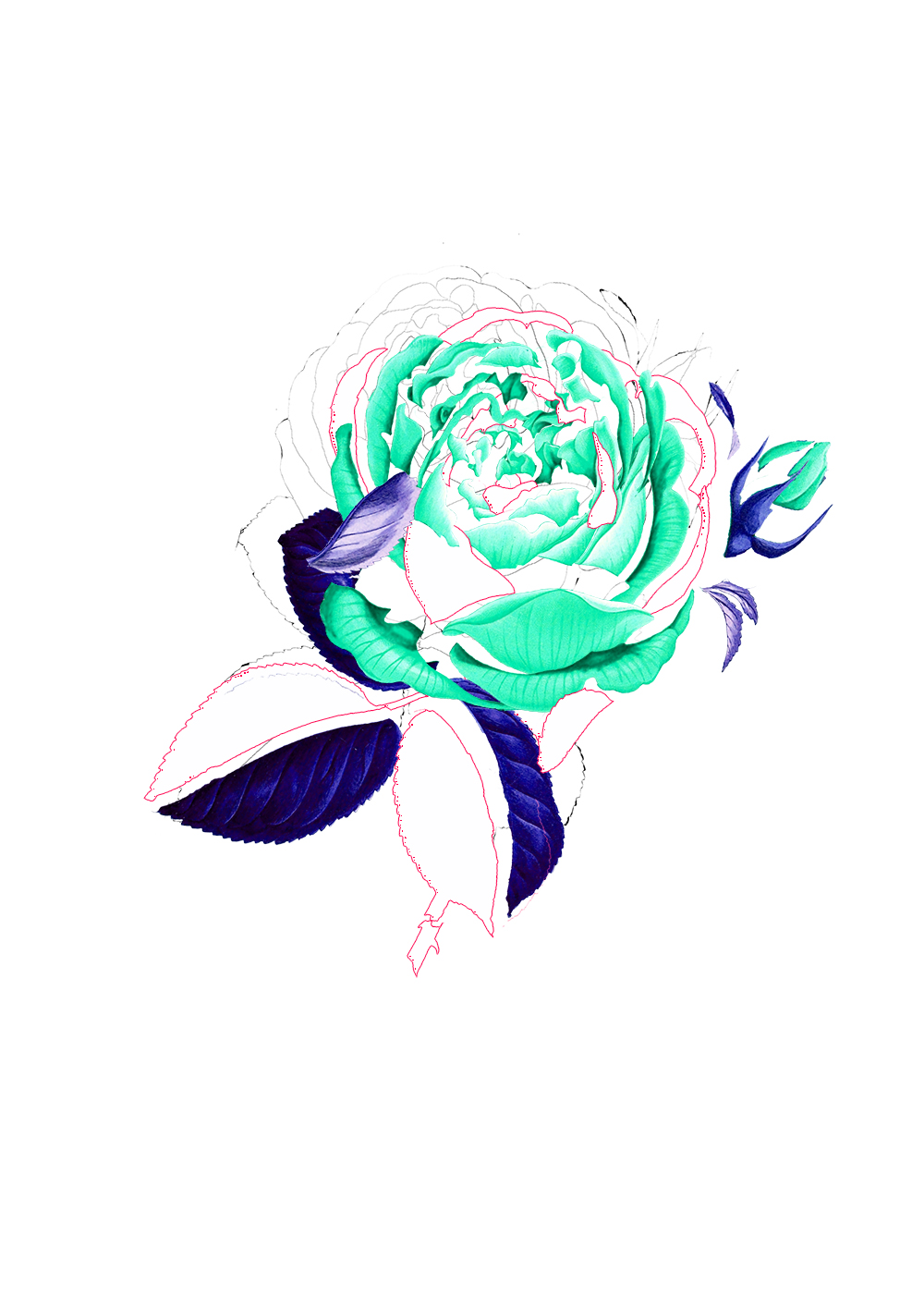 Illustration d'une rose verte et bleue destructurée.