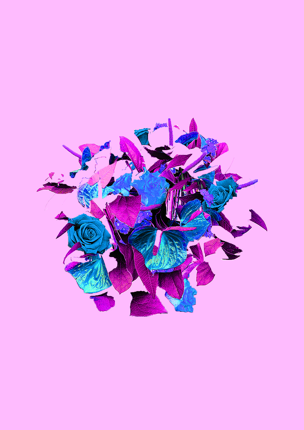 Illustration de plusieurs moreceaux de fleurs en bouquet destructuré, rose et bleu sur fond rose clair.