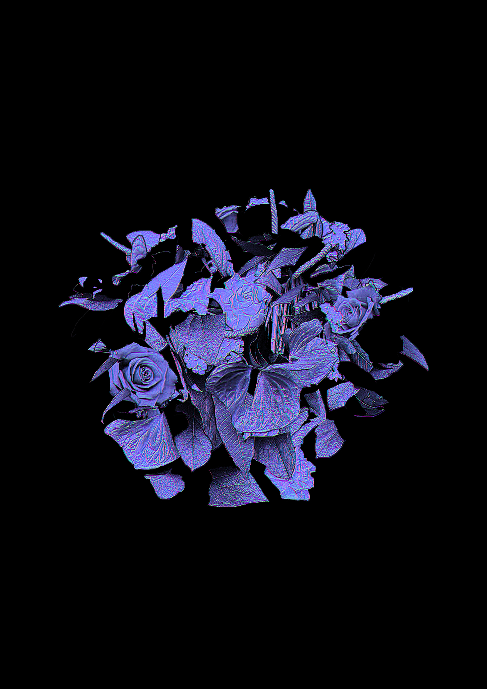 Illustration de fleurs violettes en relief sur fond noir.
